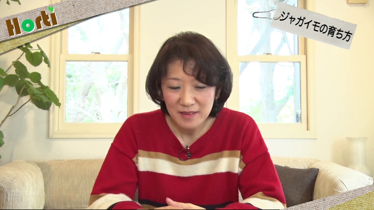 プランターでジャガイモを育てるには？