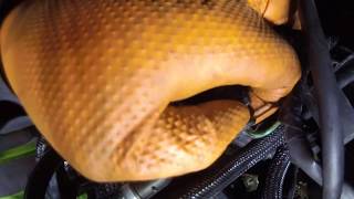 Как поменять свечи накала Ford Focus 1.6d \ How do I change Ford Focus 1.6 glow plugs? Как поменять свечи накала Ford Focus 1.6d \ How do I change Ford Focus 1.6 glow plugs?