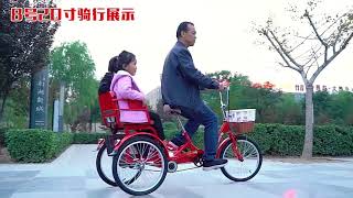 20 Inch Three Wheel Bike Adult Trike Tricycle Bicycle Basikal Sport Cycling Riding 自行成老人三轮车 HK1-1678