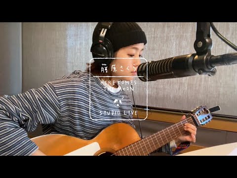 藤原さくら - 恋しくて（HERE COMES THE MOON STUDIO LIVE）