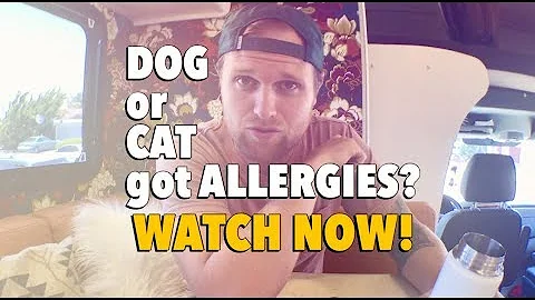 Pet Allergies? Heal Them Naturally | Dallas Wottlin