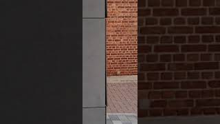 equitone straitening timelaps