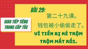BÀI 29. Tự học giao tiếp tiếng Trung cấp tốc. 第二十九课。钱包被小偷偷走了。VÍ TIỀN BỊ KẺ TRỘM TRỘM MẤT RỒI. #29