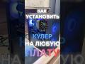 КАК УСТАНОВИТЬ КУЛЕР НА AMD, INTEL #pcbuild #nvidia #gamingpc #rtx #pc #techtok #intel #amd #пк