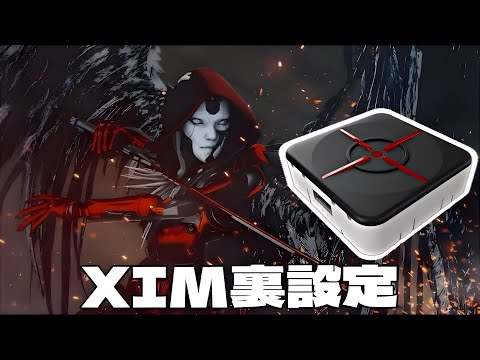 Apex】遅延とネガティヴアクセルを無くす設定方法‼︎ CSも対応可!! xim