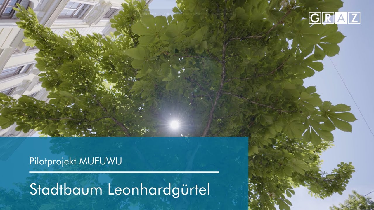 Stadtbaum Leonhardgürtel