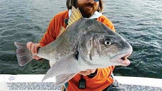 Simple Lure Trick To Get Spooky Black Drum On The Flats To Eat