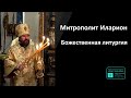 Митрополит Иларион | Прямая трансляция | Божественная Литургия | 19.11.2023