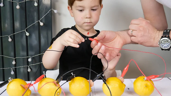 How to Make a Lemon Battery