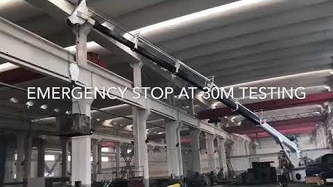 OUCO Offshore Pedestal crane 3T30M First Testing