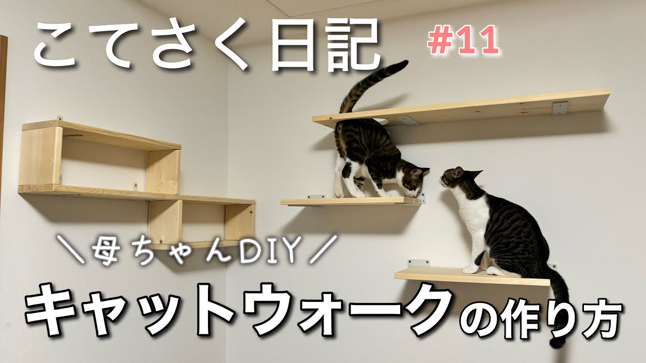 こてさく日記Vol.11】キャットウォークをDIYしてみた🐈 - YouTube