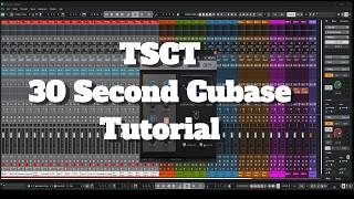 30-Second Cubase Tutorial - Set Multiple Insert Over Multiple Tracks Using Quick Link: TSCT