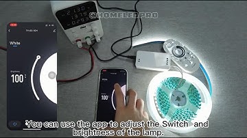 How to use the Tuya WiFi RF Single Color Controller | Tuya Smart WiFi and RF Controller @TY-02-1CH