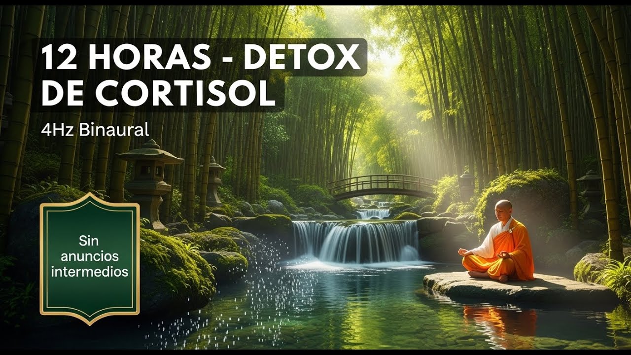 BAJAR EL CORTISOL Y REDUCIR ANSIEDAD | DETOX DE CORTISOL: 12 HORAS 🌿 ...