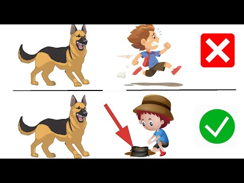 فيديو: كيفية التعرف على الكلب المهيمن