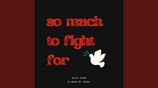 So Much to Fight For