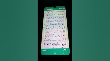 سورة المائدة الآية 41 سعد الغامدي