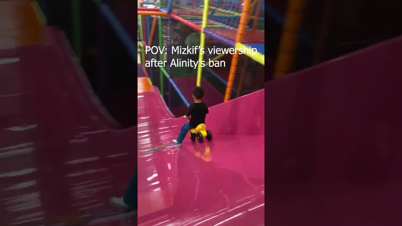 Mizkif after Alinity's ban