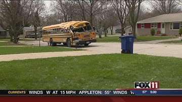 Bus driver cited in crash with tree