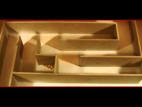 Seninle Kafam Güzel