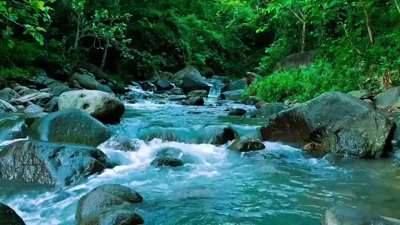 Relaxing Nature Sounds for Deep Sleep, Stream Sounds, Forest Sounds