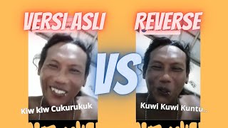 Sound Asli Kiw kiw Cukurukuk Ketika Dibalik | Viral Tiktok