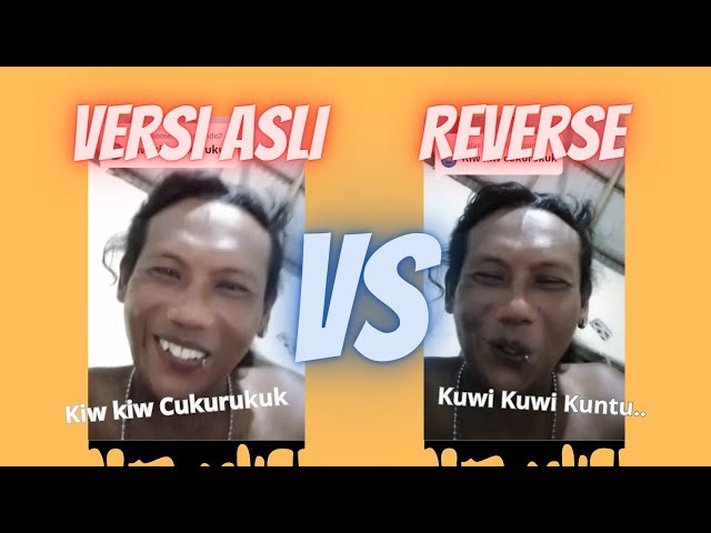 Sound Asli Kiw kiw Cukurukuk Ketika Dibalik | Viral Tiktok class=