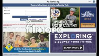 How to Complete Youth Protection Training Online