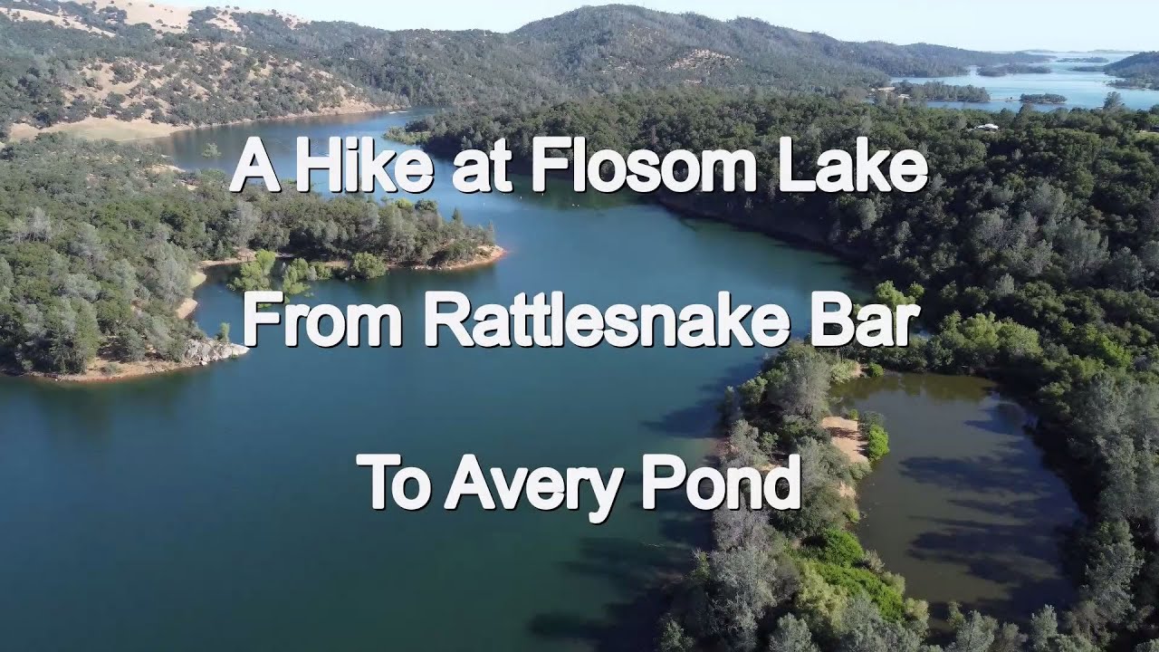 A Hike along Folsom Lake from Rattlesnake Bar YouTube