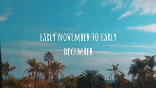 early november to early december