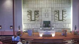 Pentecost Sunday, 11.30 a.m. Mass, Sunday, 19th May, 2024