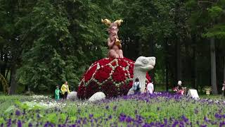 Millions of flowers transform gardens into fantasyland in Lithuania