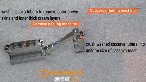 cassava peeling and grating machine