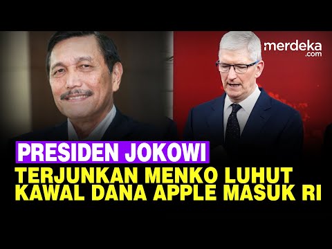 CEO Apple Tim Cook Janjikan Investasi Besar di RI, Jokowi Terjunkan Luhut