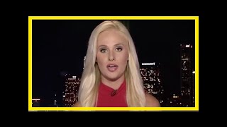 Breaking News | Twitter drags tomi lahren for still not knowing why nfl players kneel for anthem