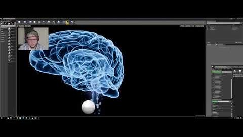Muse Brain Visualization