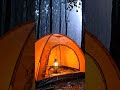 Heavy Rain on Tent at Night 🌧️ Forest Thunderstorm Ambience for Deep Sleep
