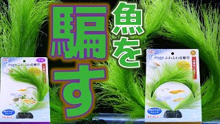 【人工水草】入れた瞬間魚がくぐる、本物そっくりな柔らかい素材。葉が抜けにくく卵を産み付けやすい形状！GEX メダカ水景ふわふわ産卵草 半円/円【ふぶきテトラ】