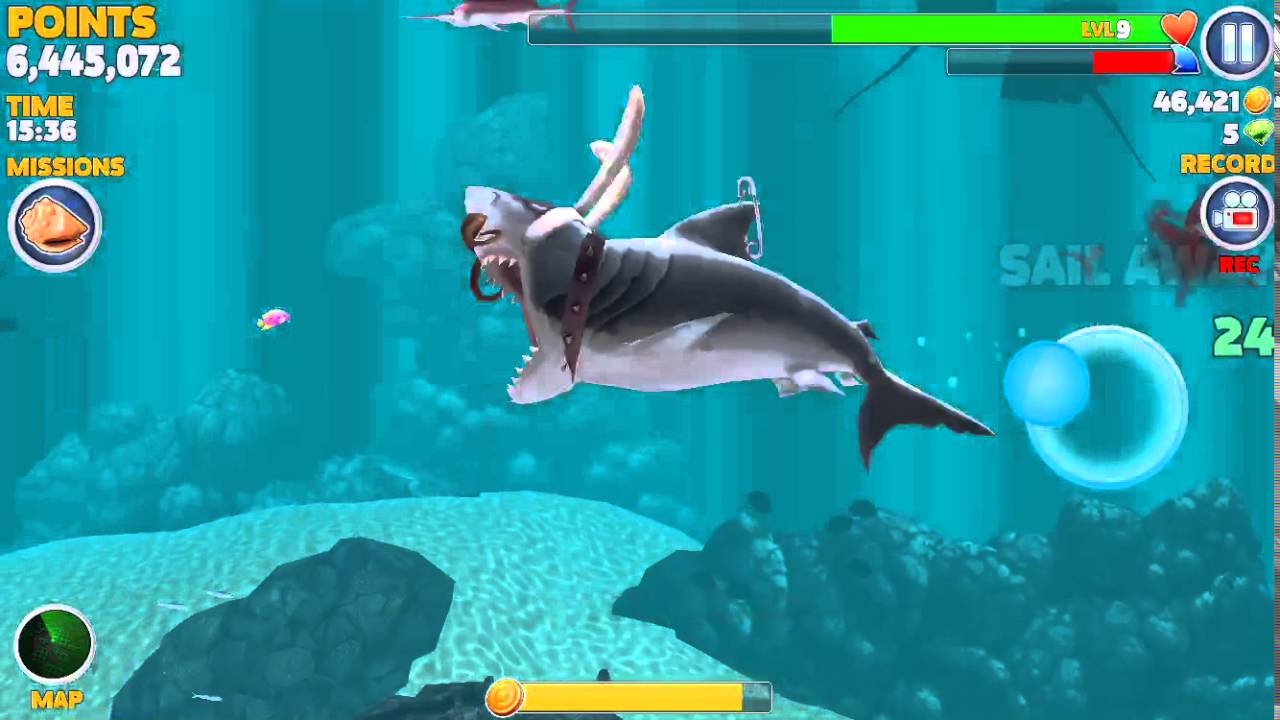 megalodon tooth for sale Bunny Megalodon - Hungry Shark Evolution part # 1