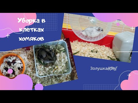 Уборка в клетках хомяков/ Как я убираю у хомяков/ Уход за домашними животными