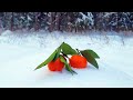 Телевизор - Мандариновый снег \ Mandarinen Snow