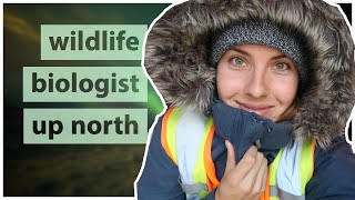 What do you need to wear & carry as a BIOLOGIST? (Northern climate)