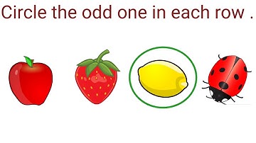 Circle the odd one in each row LKG  Science