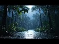 Embrace Peace and Relaxation 24/7 | Gentle Rain Sounds for Deep Sleep, Focus, and Stress Relief