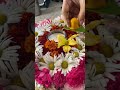 #bathukamma #2024 #bathukammasong #shorts #youtubeshorts #trending #ytshorts #songs #yt #viralshort