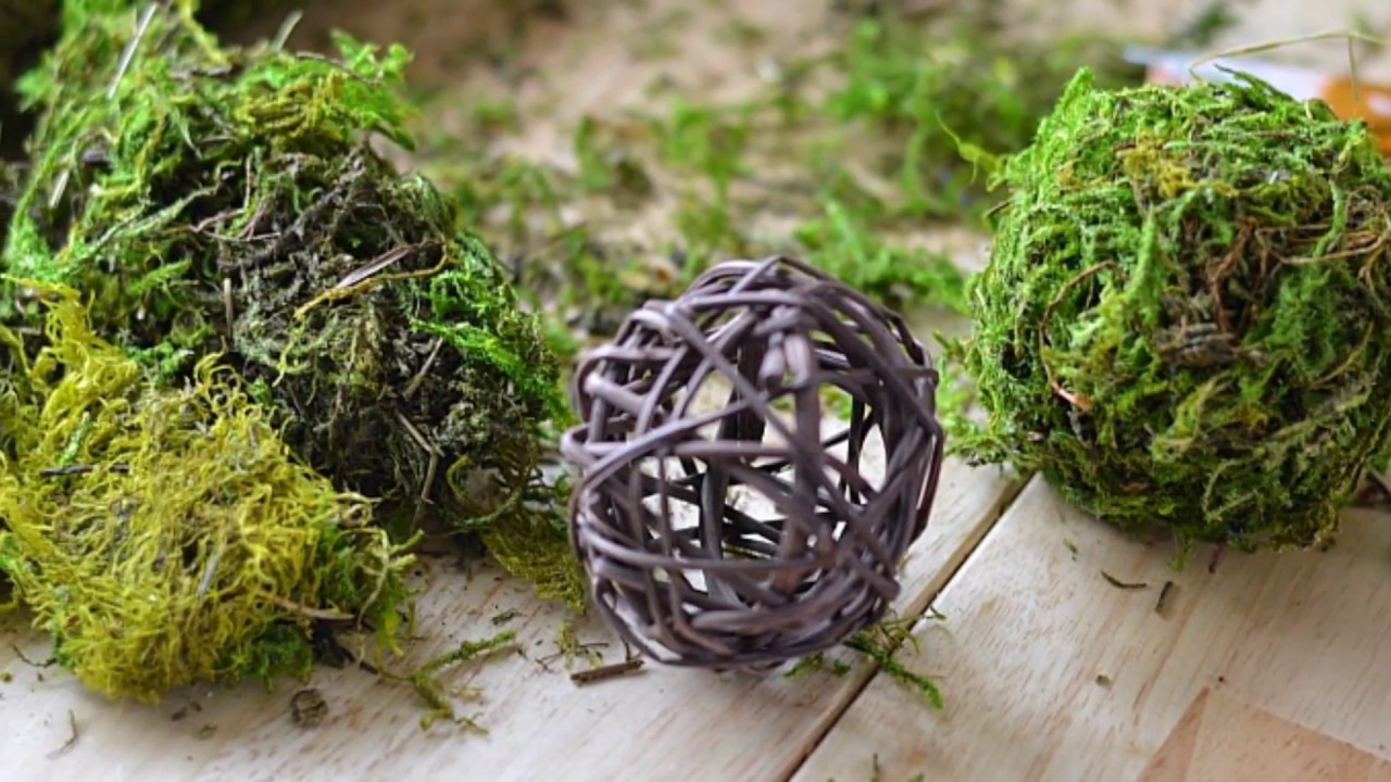 How to Make DIY Moss Balls - An Easy, Low-Cost DIY Project - Songbird