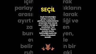 Seçi̇l