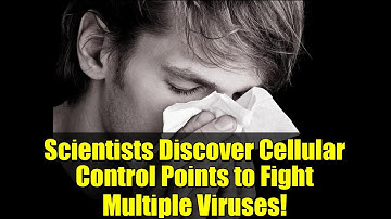 Scientists Discover Cellular Control Points to Fight Multiple Viruses!