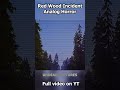 Red Wood Incident | Found Footage | Analog Horror