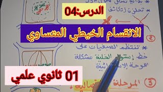 الدرس04: الانقسام الخيطي المتساوي/السنة الأولى ثانوي علمي 2023.